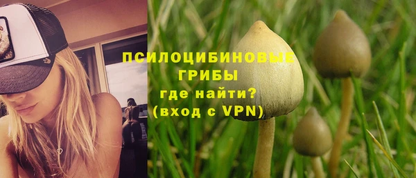 стаф Абаза